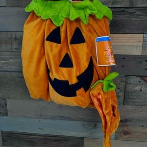 Pet Plush Pumpkin Costume 2 pc